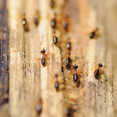 Allseason Contractors of NY Inc. Images